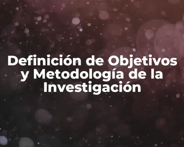 Definición de Objetivos y Metodología de la Investigación
