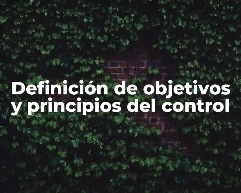 Definición de objetivos y principios del control