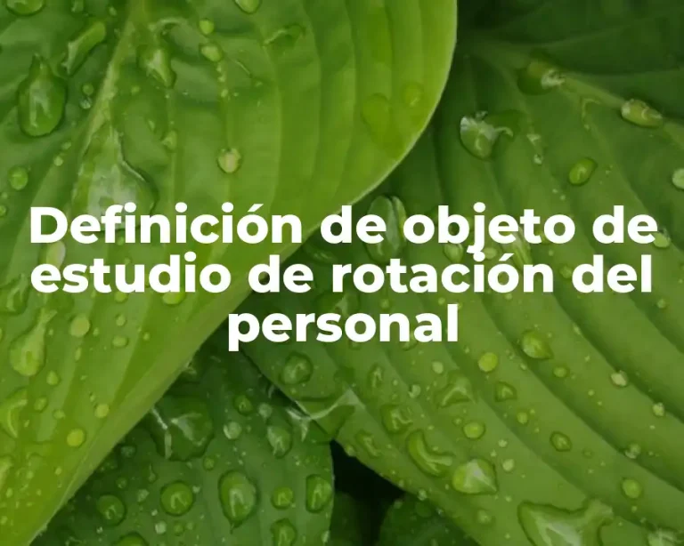 Definición de objeto de estudio de rotación del personal