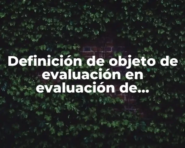 Definición de objeto de evaluación en evaluación de proyectos