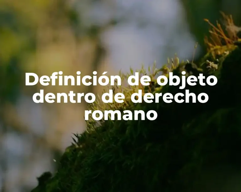 Definición de objeto dentro de derecho romano