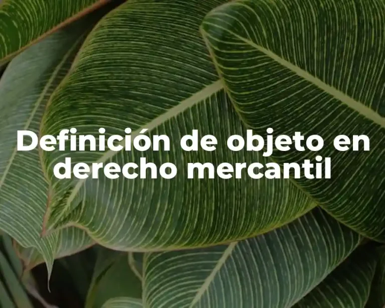 Definición de objeto en derecho mercantil