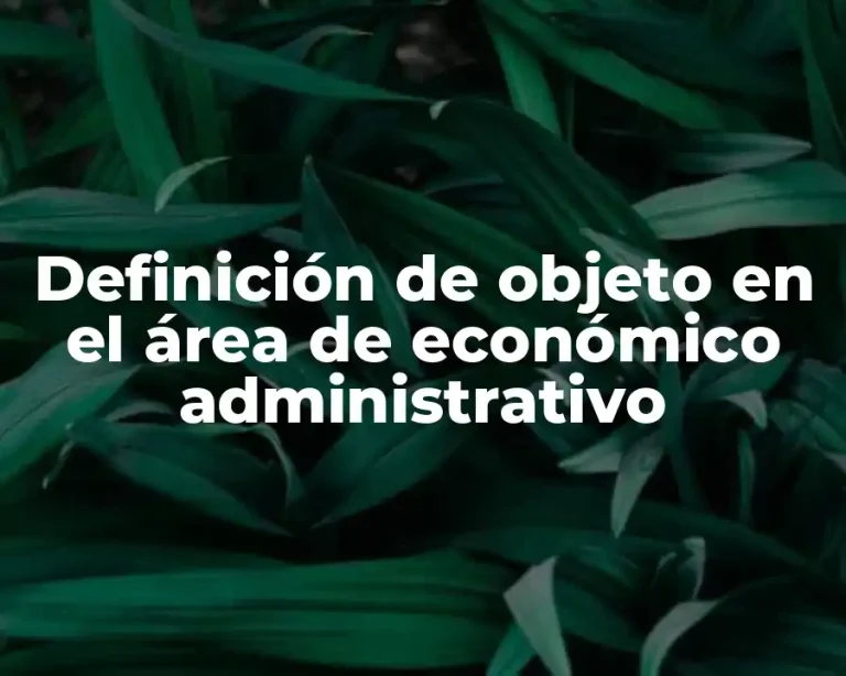 Definición de objeto en el área de económico administrativo