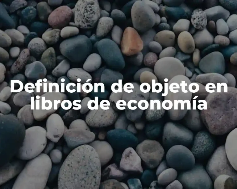 Definición de objeto en libros de economía
