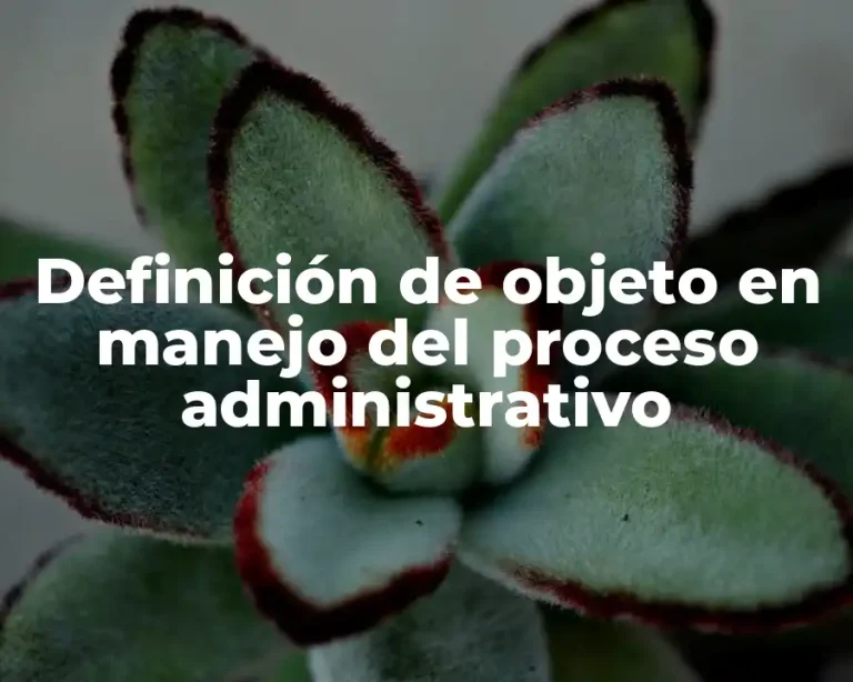 Definición de objeto en manejo del proceso administrativo