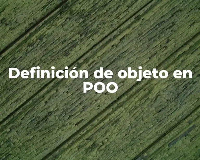 Definición de objeto en POO