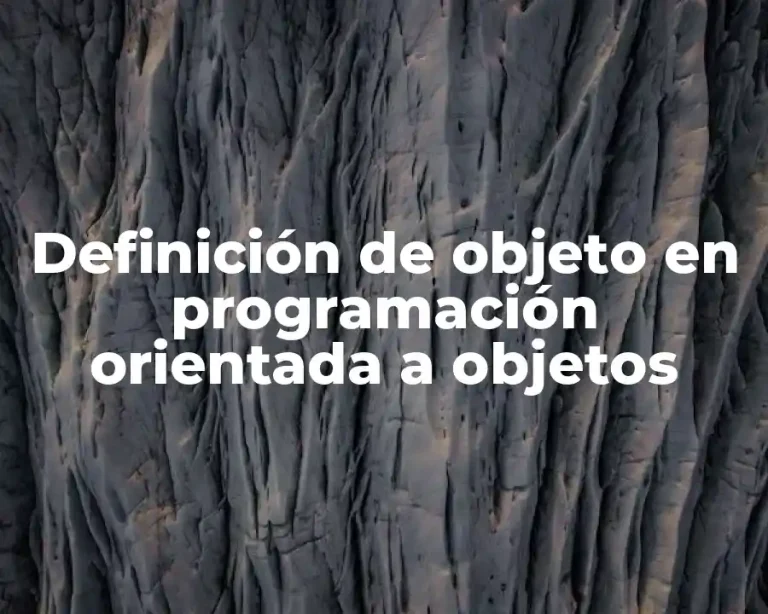 Definición de objeto en programación orientada a objetos