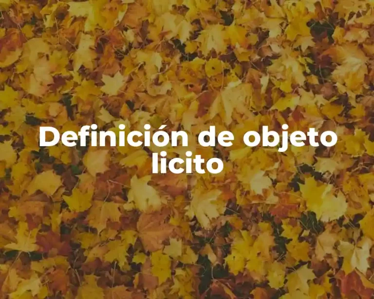 Definición de objeto licito