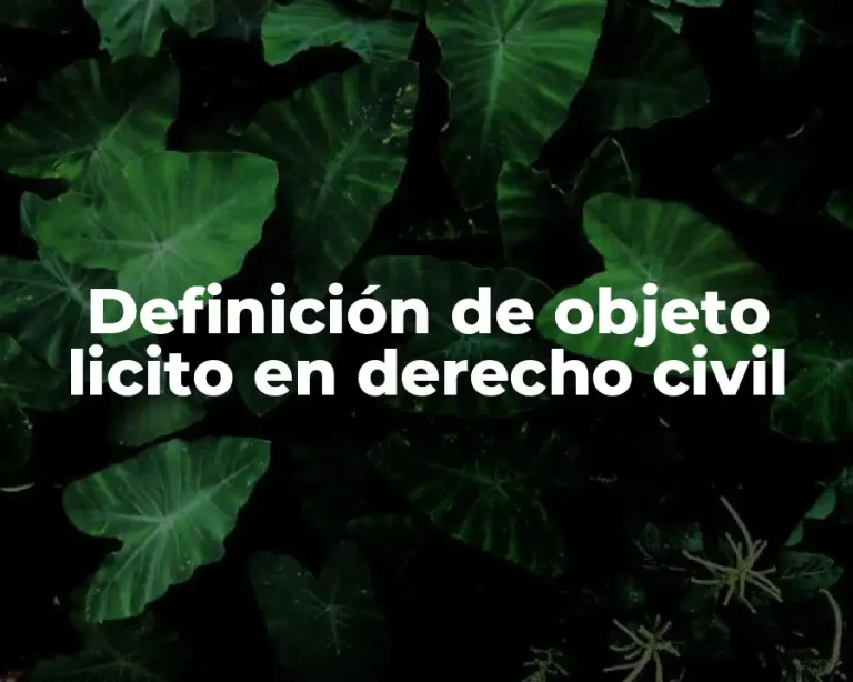 Definición de objeto licito en derecho civil