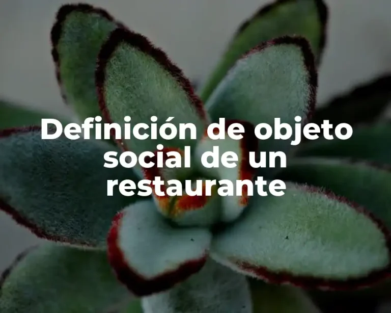 Definición de objeto social de un restaurante