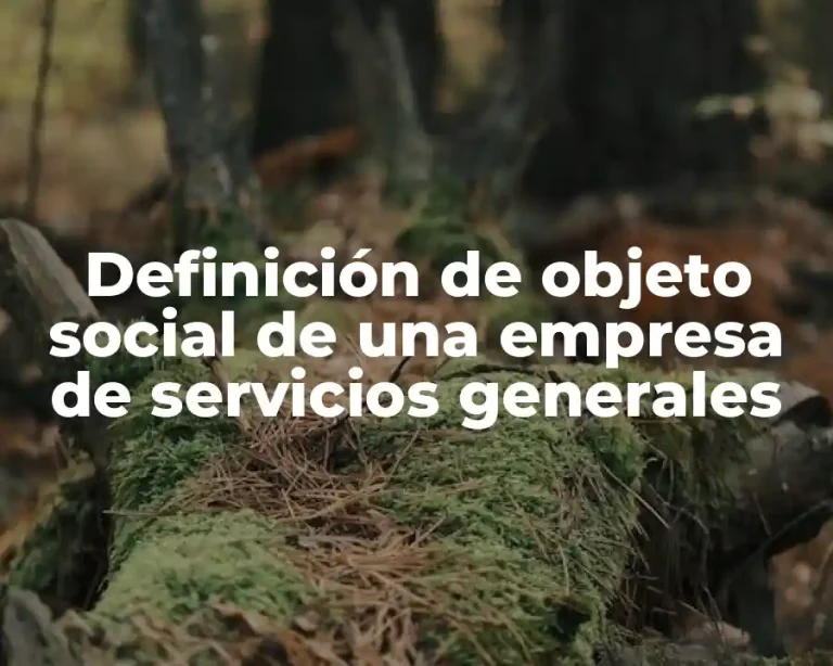 Definición de objeto social de una empresa de servicios generales