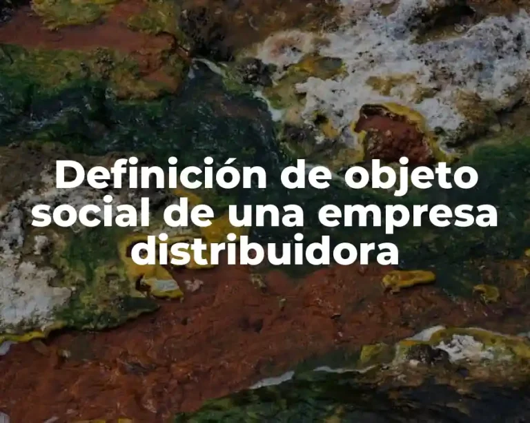 Definición de objeto social de una empresa distribuidora
