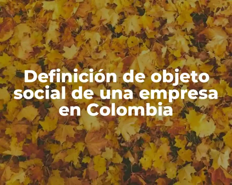 Definición de objeto social de una empresa en Colombia