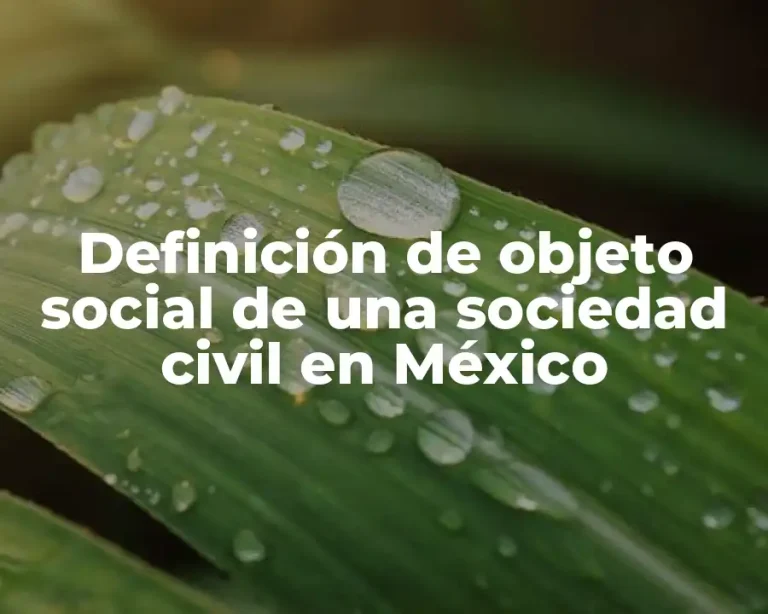 Definición de objeto social de una sociedad civil en México