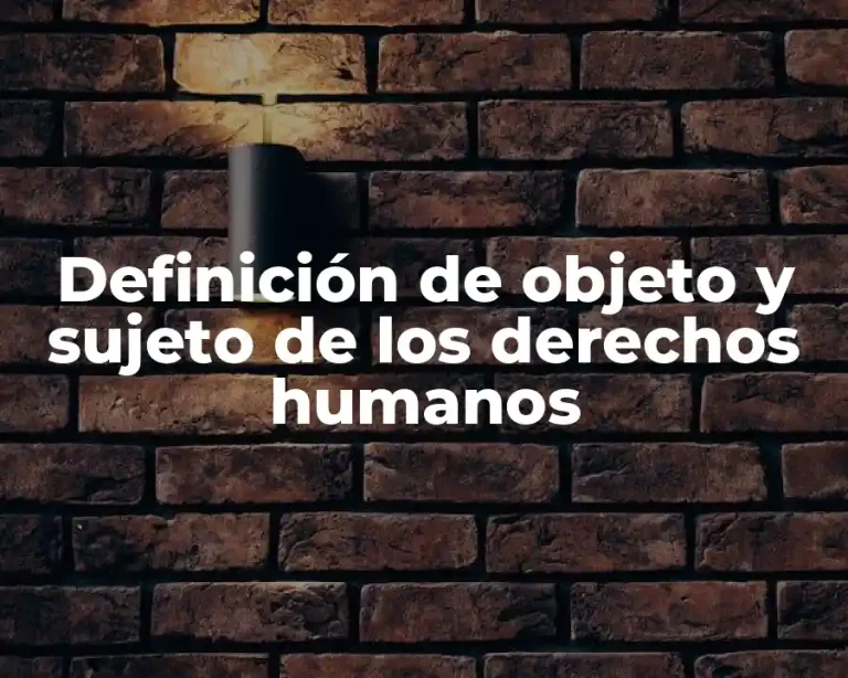 Definición de objeto y sujeto de los derechos humanos