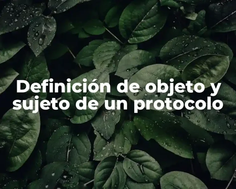 Definición de objeto y sujeto de un protocolo