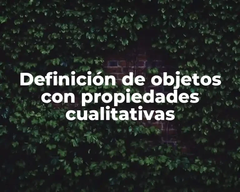 Definición de objetos con propiedades cualitativas