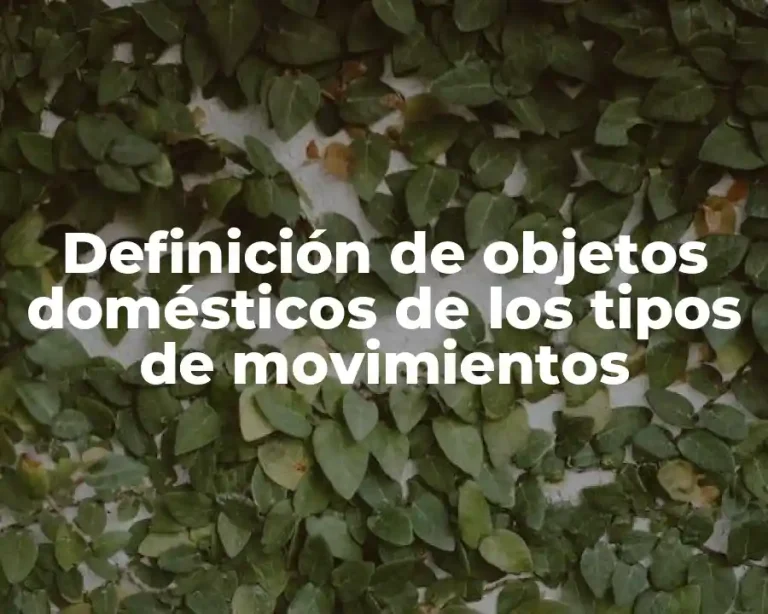 Definición de objetos domésticos de los tipos de movimientos