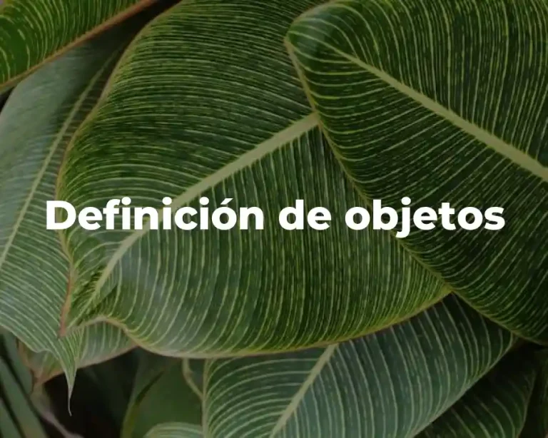 Definición de objetos