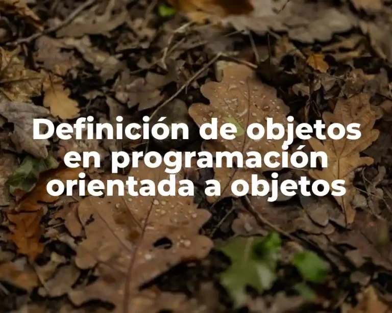 Definición de objetos en programación orientada a objetos