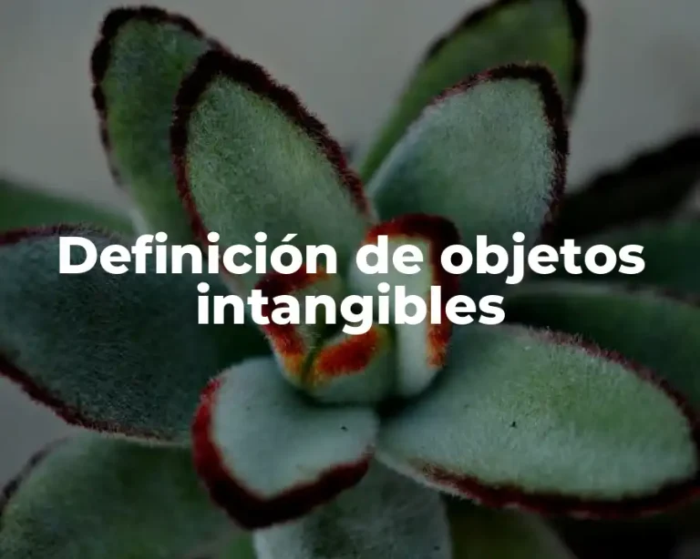 Definición de objetos intangibles