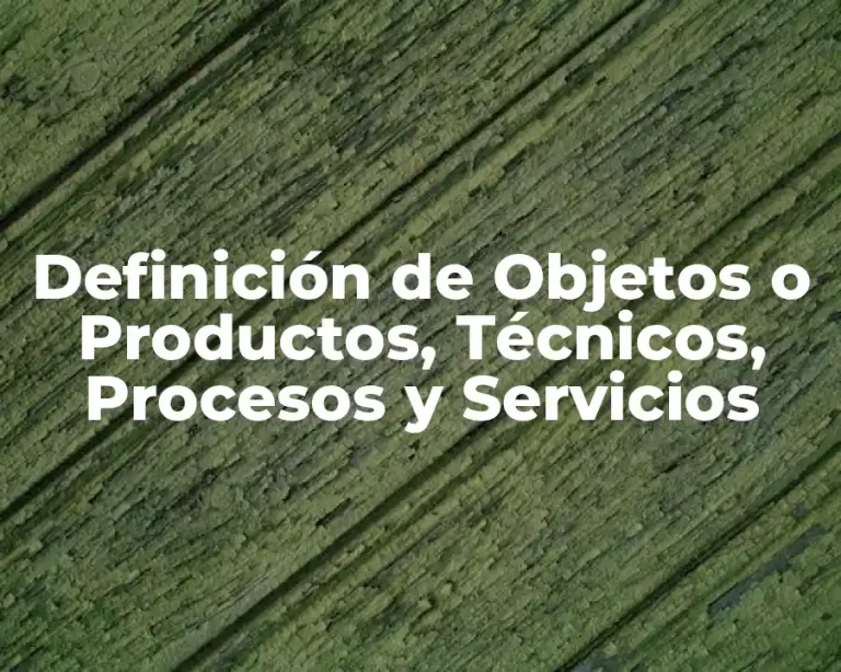 Definición de Objetos o Productos, Técnicos, Procesos y Servicios