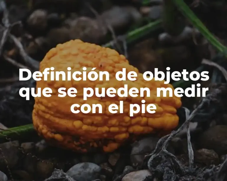 Definición de objetos que se pueden medir con el pie