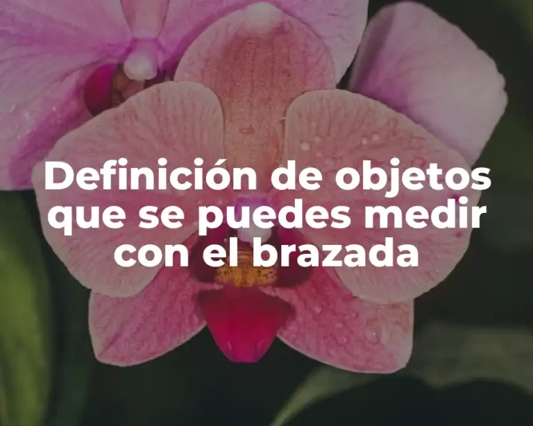 Definición de objetos que se puedes medir con el brazada