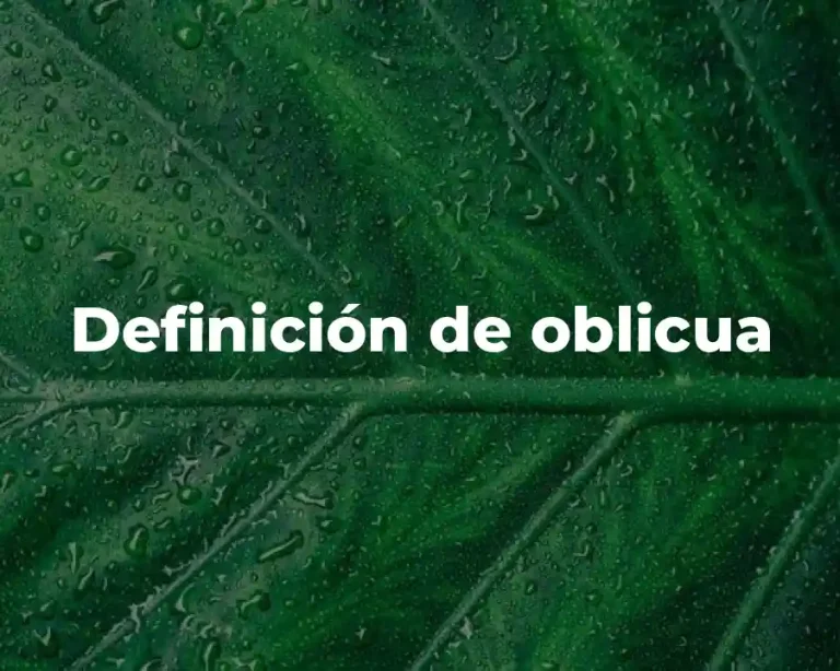 Definición de oblicua