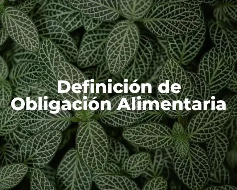 Definición de Obligación Alimentaria