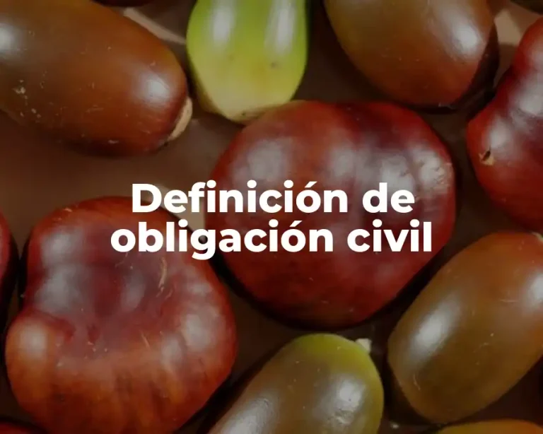 Definición de obligación civil