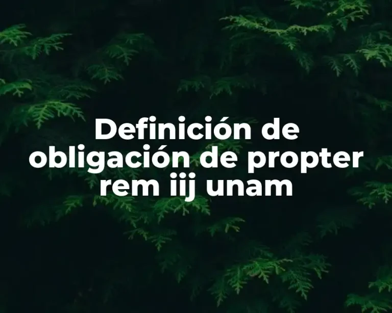Definición de obligación de propter rem iij unam