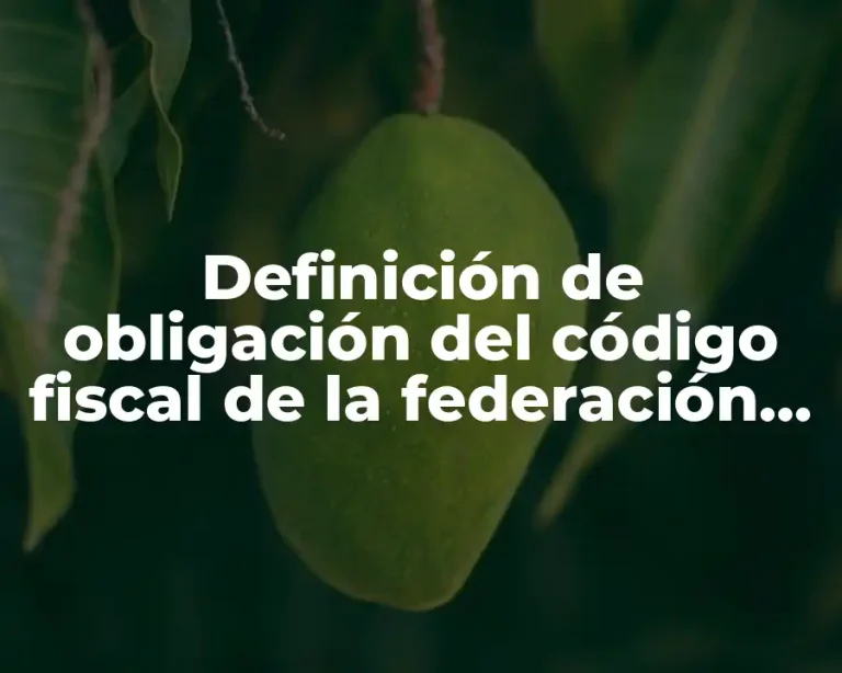 Definición de obligación del código fiscal de la federación Unadm