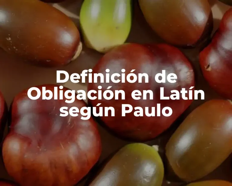 Definición de Obligación en Latín según Paulo