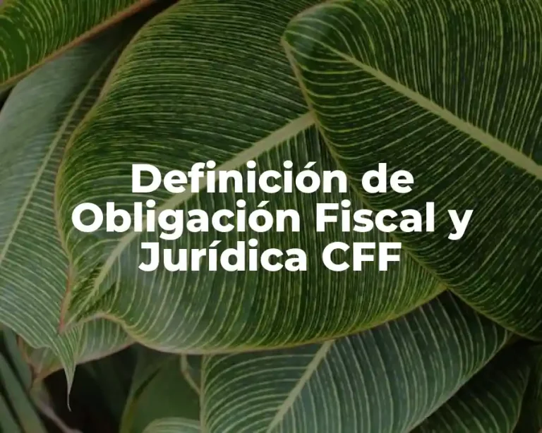 Definición de Obligación Fiscal y Jurídica CFF