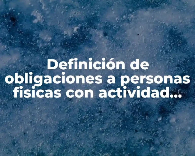 Definición de obligaciones a personas fisicas con actividad empresarial