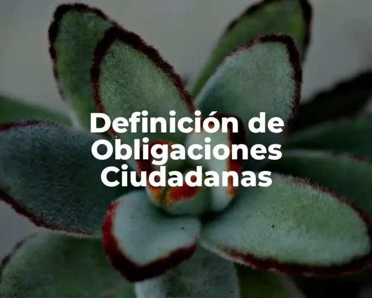 Definición de Obligaciones Ciudadanas