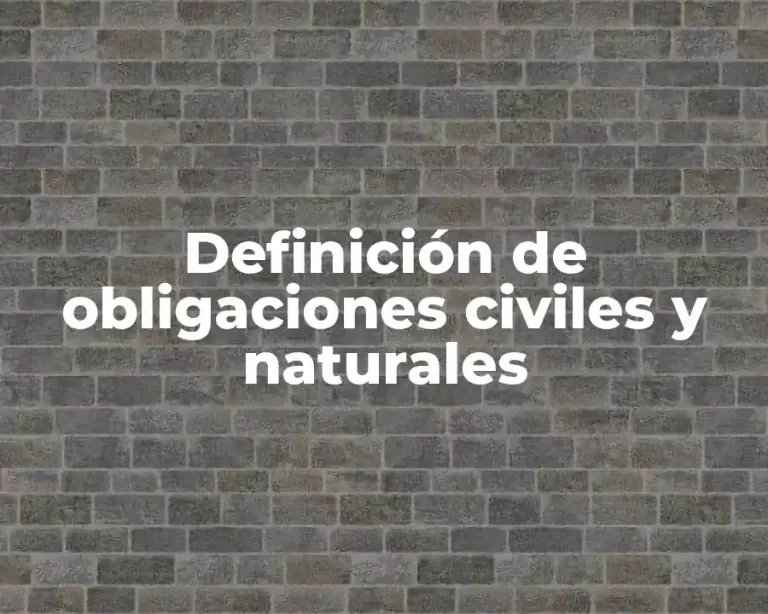 Definición de obligaciones civiles y naturales