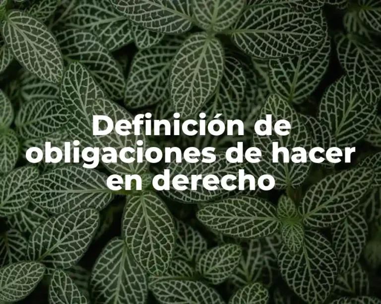 Definición de obligaciones de hacer en derecho