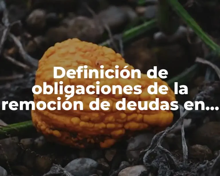 Definición de obligaciones de la remoción de deudas en México