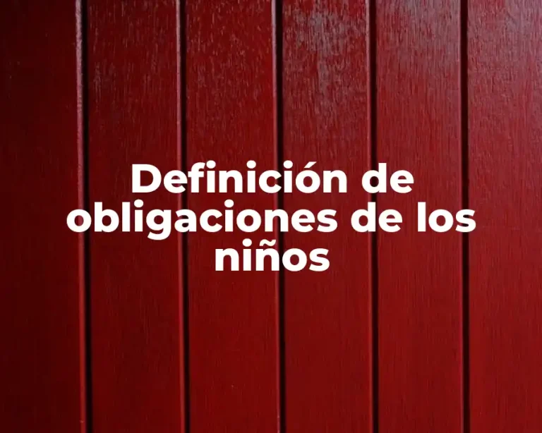 Definición de obligaciones de los niños