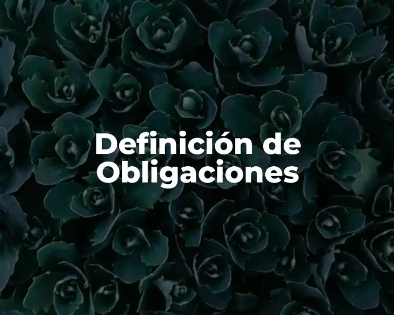 Definición de Obligaciones