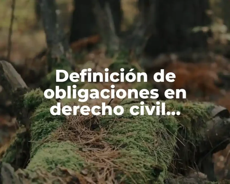 Definición de obligaciones en derecho civil guatemalteco