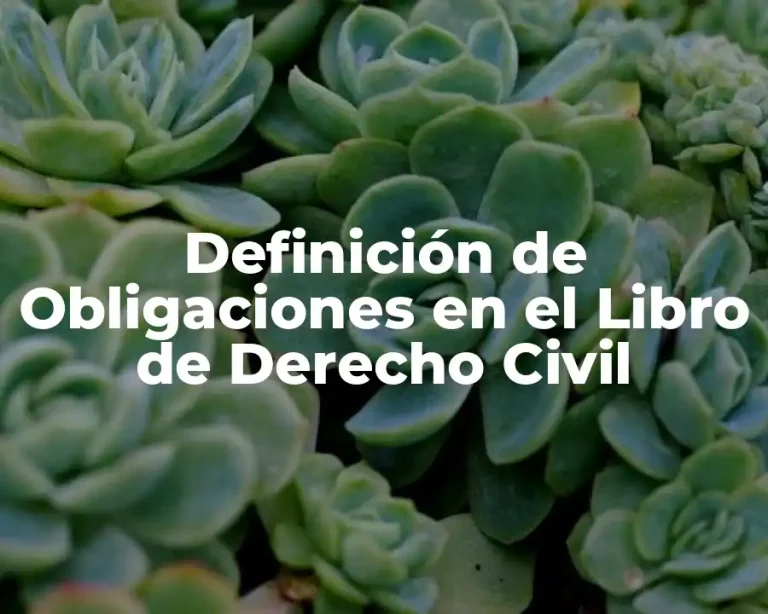 Definición de Obligaciones en el Libro de Derecho Civil
