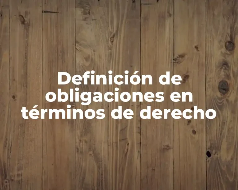 Definición de obligaciones en términos de derecho