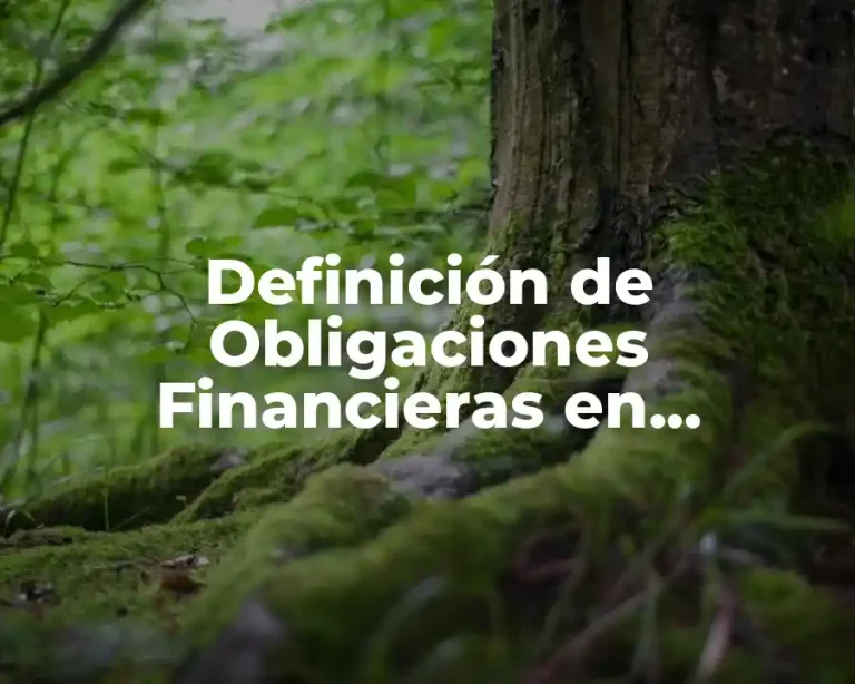 Definición de Obligaciones Financieras en Contabilidad