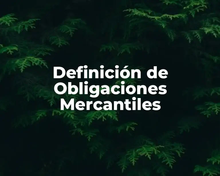 Definición de Obligaciones Mercantiles