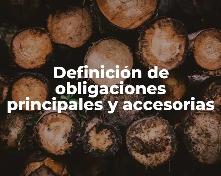 Definición de obligaciones principales y accesorias