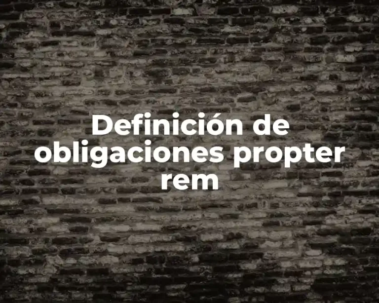 Definición de obligaciones propter rem