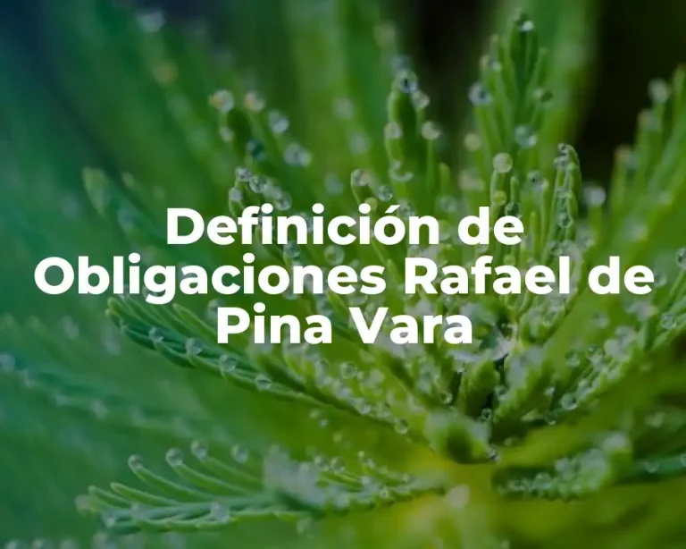 Definición de Obligaciones Rafael de Pina Vara